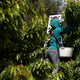 A worker picks cherries from a tree on May 21, 2018 in Acampo, California.